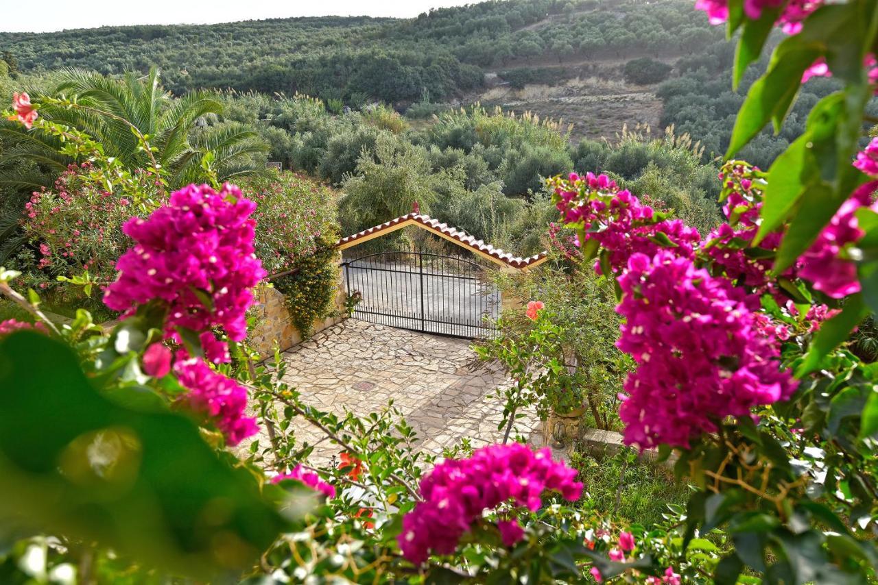 Olive Farm Villa Agia Marina  Bagian luar foto