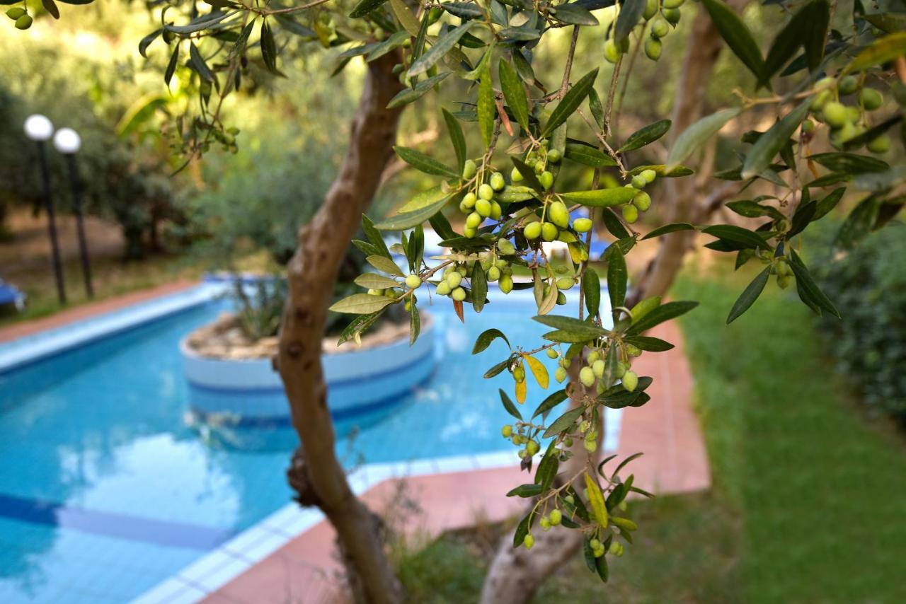 Olive Farm Villa Agia Marina  Bagian luar foto
