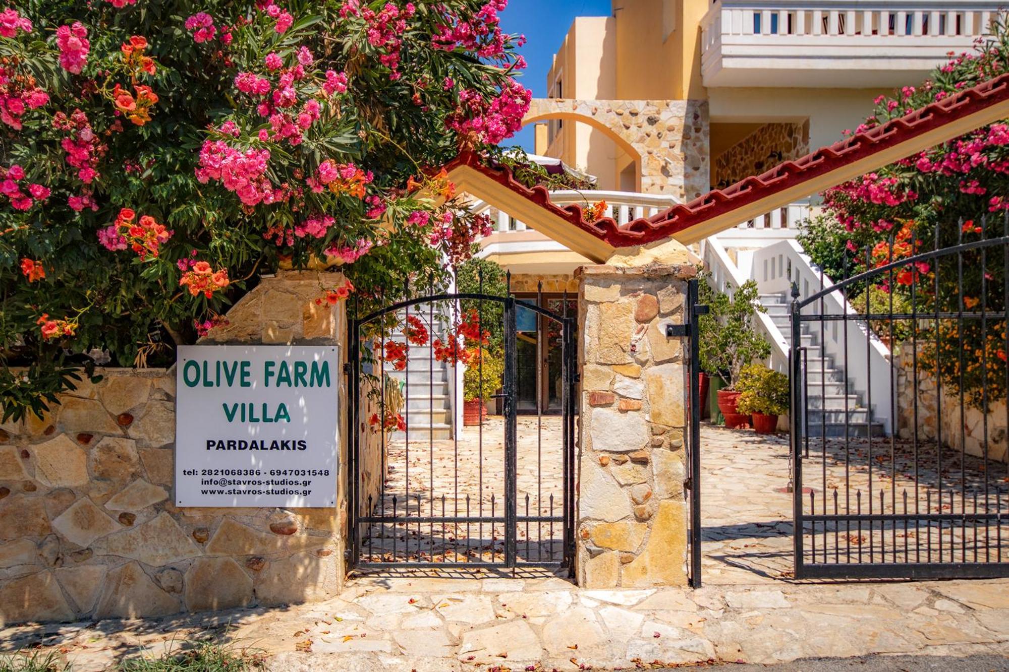 Olive Farm Villa Agia Marina  Bagian luar foto